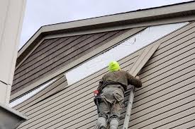 Best Custom Trim and Detailing for Siding  in Newnan, GA